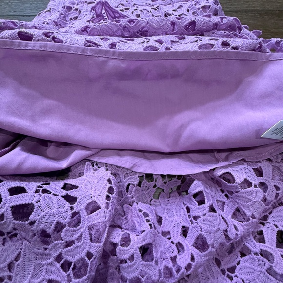 ASTR The Label Lace Overlay Midi A-Line Dress, Light Orchard, Size S, Dressy - Picture 6 of 15